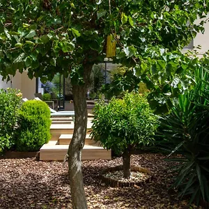  Ferienhaus Pretty House Sa Font In Santa Catalina Spanien